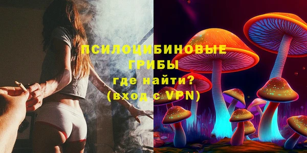 мдпв Бугульма