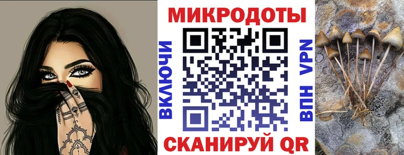 купить наркотики сайты  Петропавловск-Камчатский  Галлюциногенные грибы Magic Shrooms 
