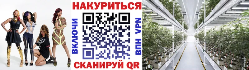 Шишки марихуана THC 21%  Петропавловск-Камчатский 